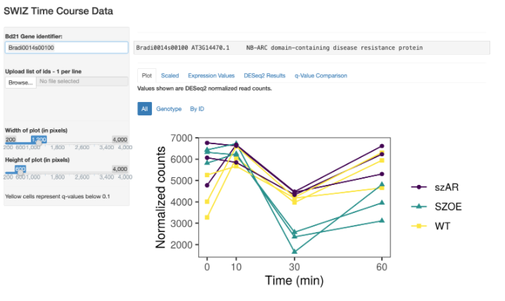  Touch Responsive Timecourse RNA-seq 