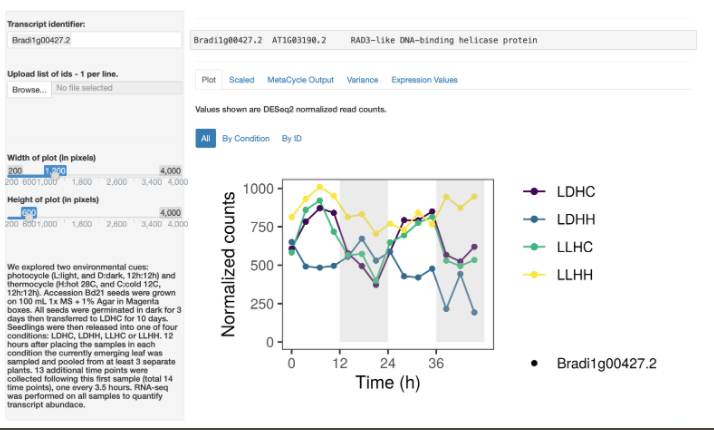  Timecourse RNA-seq 